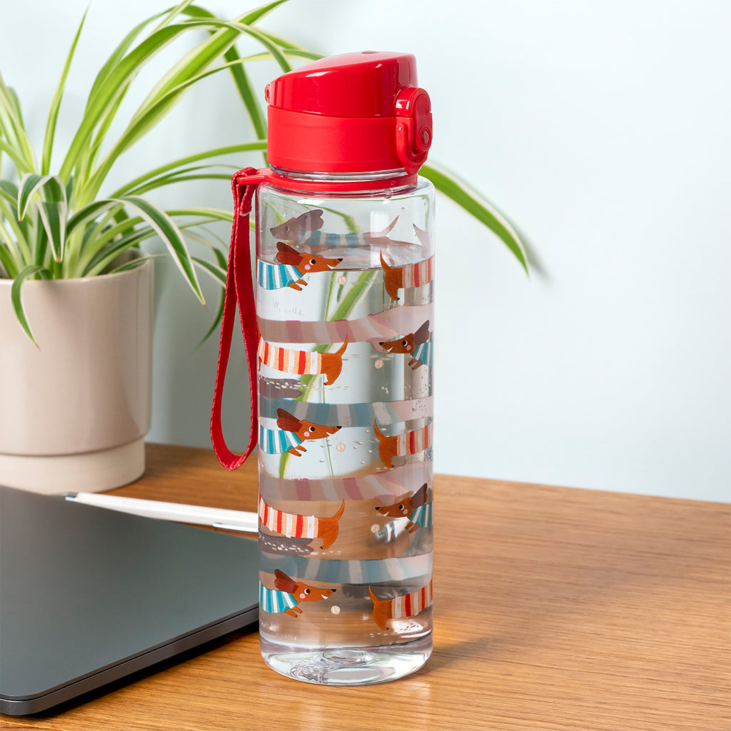 Drinkfles Teckel - Sausage dog 700 ml van Rex London